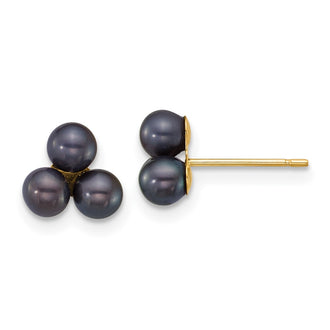 Shop Exclusive 14K Gold Polished Black Pearl Earrings - 3-4mm | Stylish Value