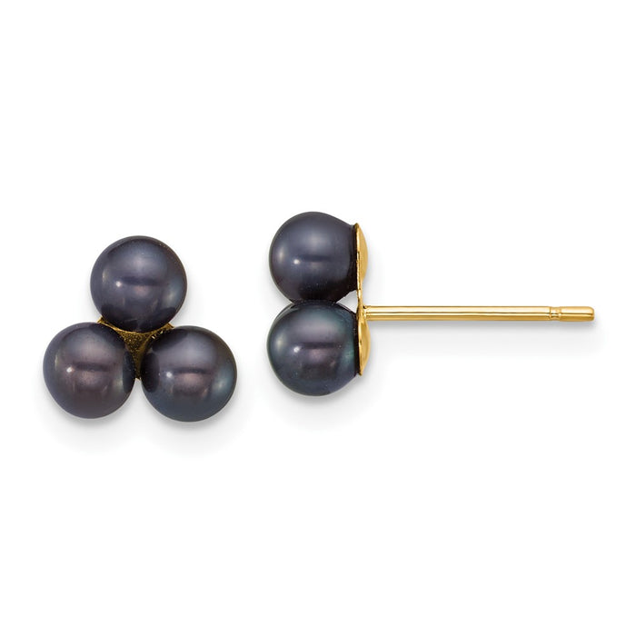 Shop Exclusive 14K Gold Polished Black Pearl Earrings - 3-4mm | Stylish Value-1