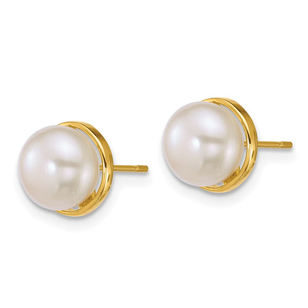 14K Gold Polished Pearl Earrings - 7-8mm