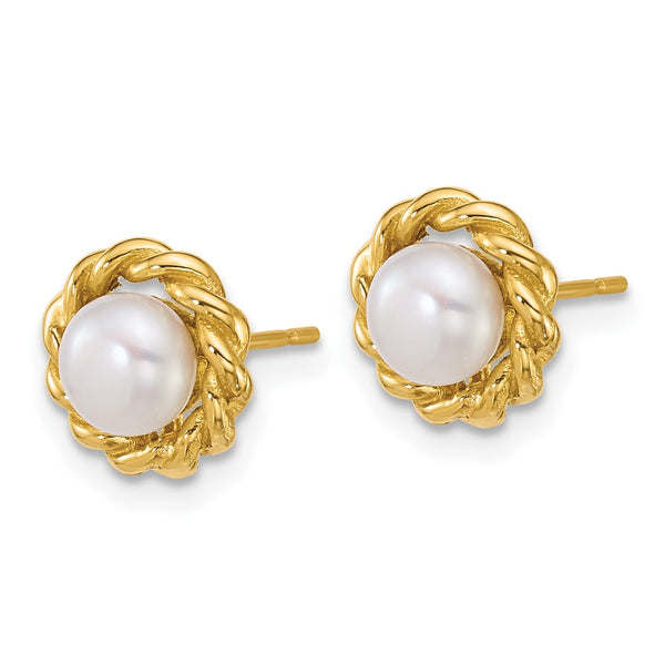 14K Gold Twisted Edge Earrings with 5-6mm Freshwater Pearls
