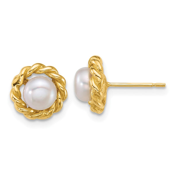 14K Gold Twisted Edge Earrings with 5-6mm Freshwater Pearls