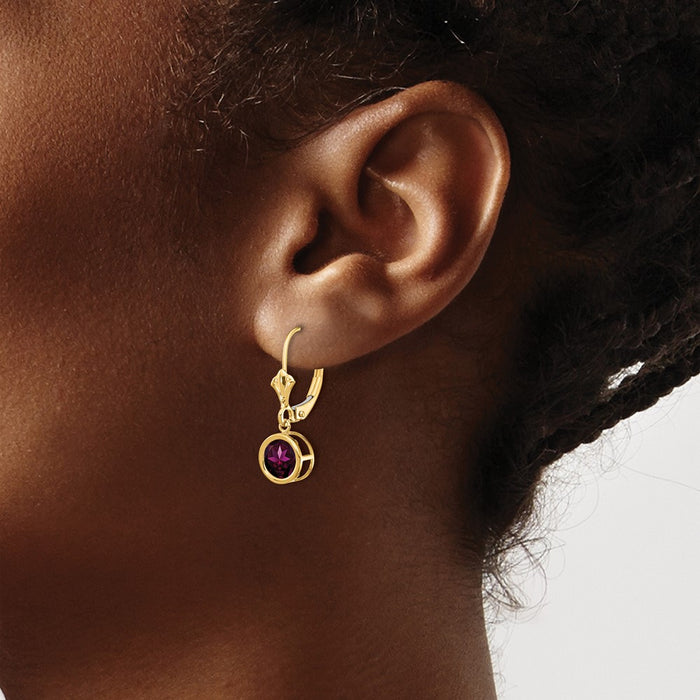 Exclusive 14K Gold 6mm Rhodolite Garnet Leverback Earrings - Stylish Value-3