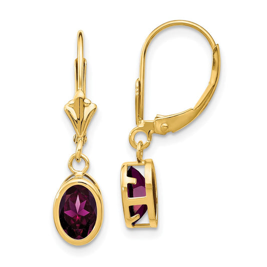 Buy Exclusive 14K Gold 7x5mm Oval Rhodolite Garnet Earrings - Stylish Value!