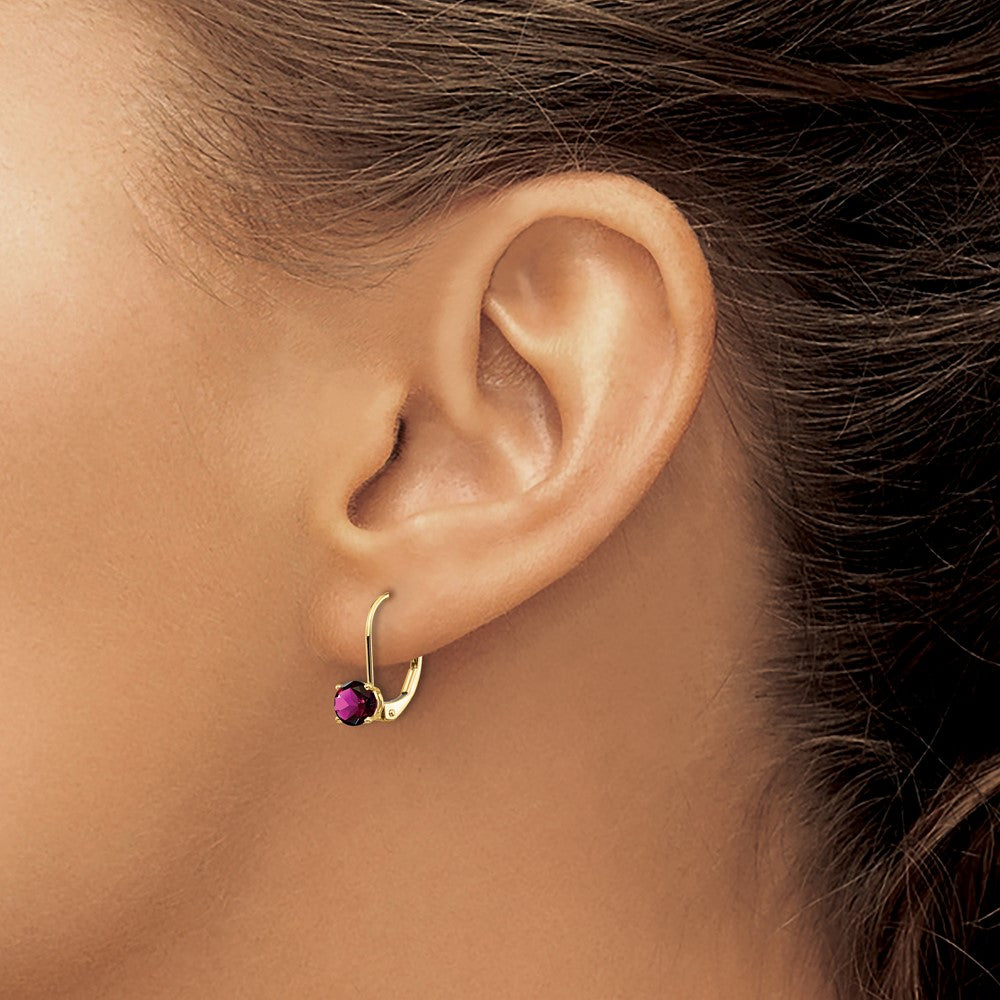 Shop Exclusive 14K Gold 5mm Amethyst Leverback Earrings - Luxury Value Jewelry