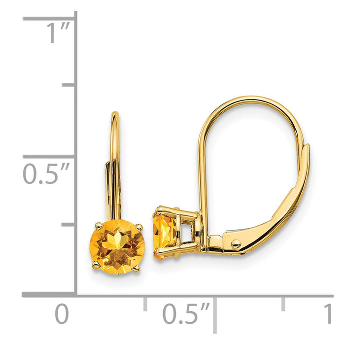 Shop Stylish 14K Gold 5mm Citrine Leverback Earrings | Affordable Luxury-4