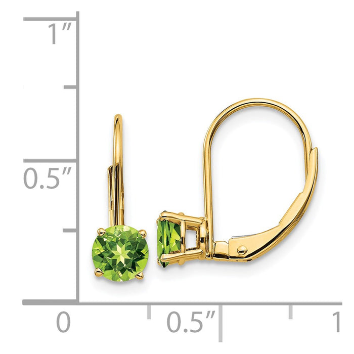 Buy Stylish 14K Gold 5mm Peridot Leverback Earrings - Affordable Luxury!-4