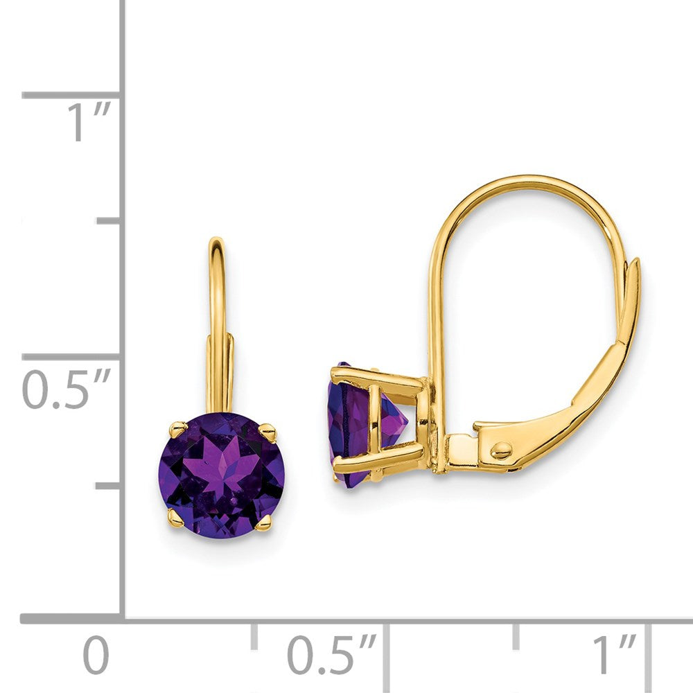Buy Stylish 14K Gold 6mm Amethyst Leverback Earrings - Affordable Luxury!
