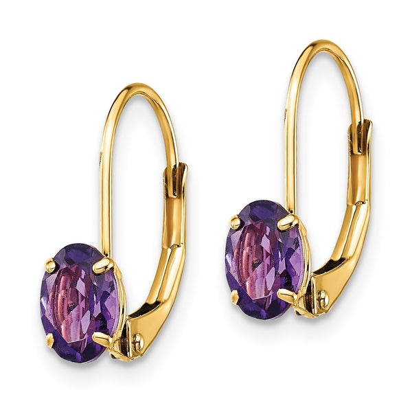 14K Gold Leverback Earrings with 6x4mm Oval Amethyst