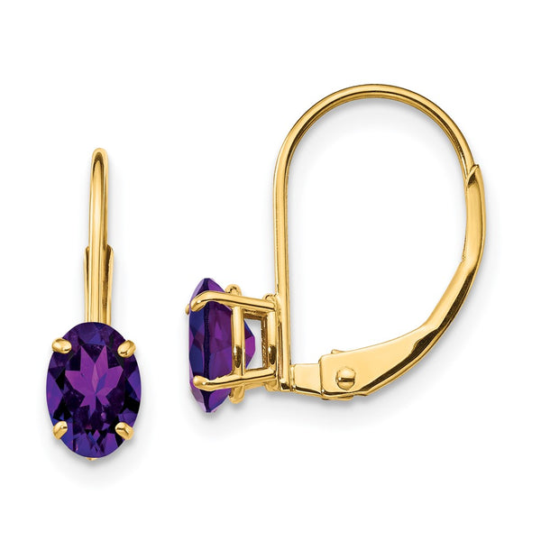 14K Gold Leverback Earrings with 6x4mm Oval Amethyst
