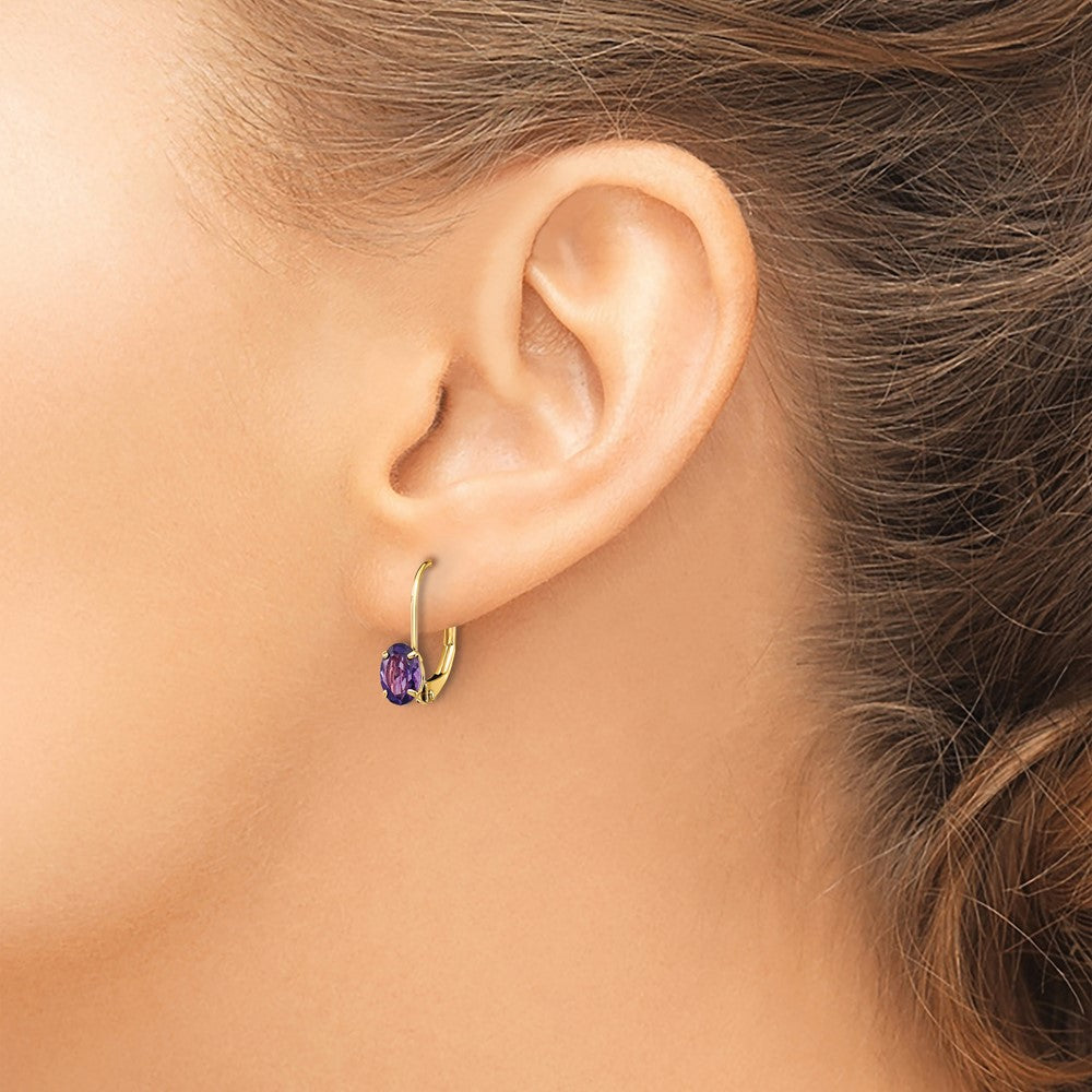 Shop Stylish 14K Gold 6x4mm Oval Created Ruby Leverback Earrings at Value Price