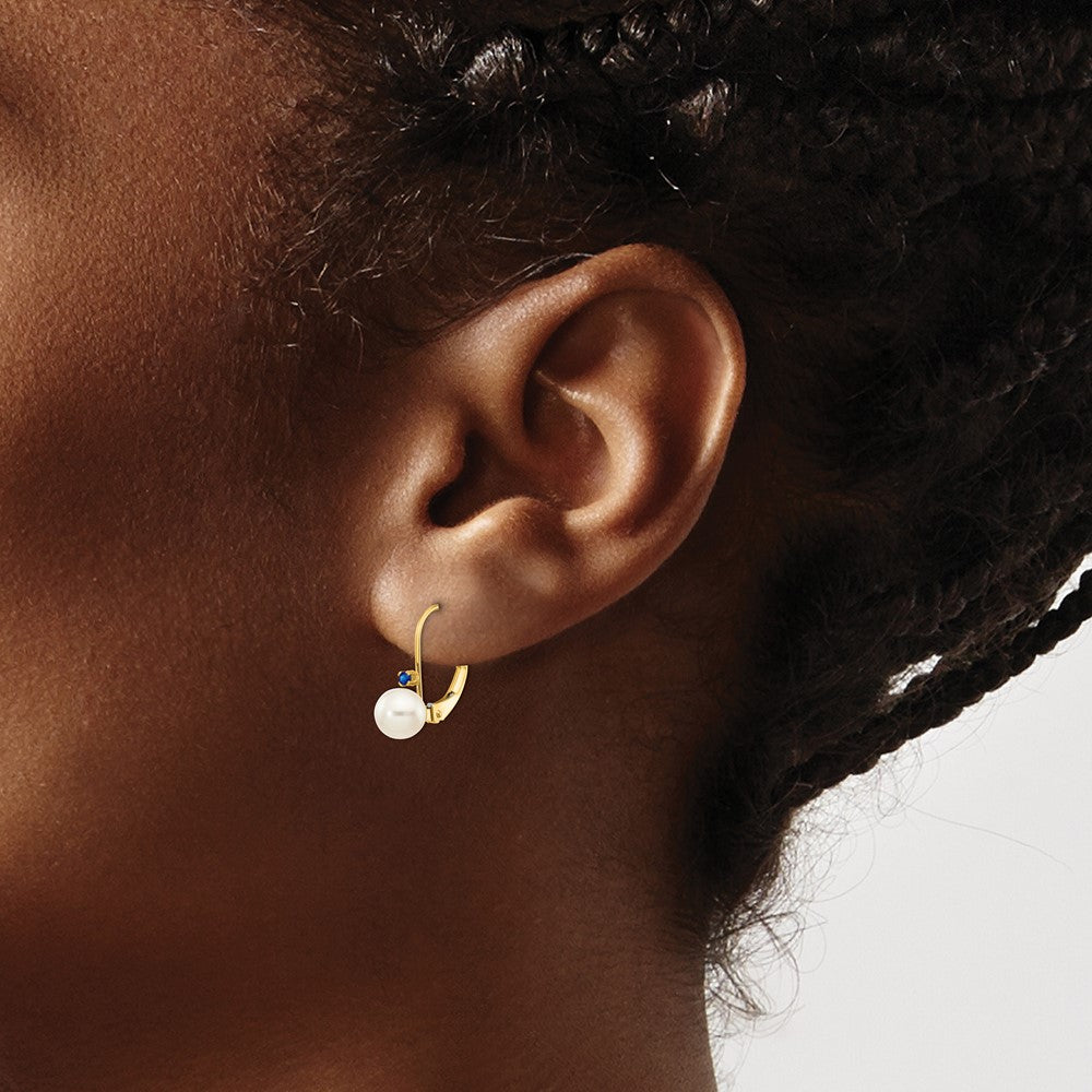 Buy Stylish 14K White Gold Leverback Earrings with Pearl & Sapphire Accents