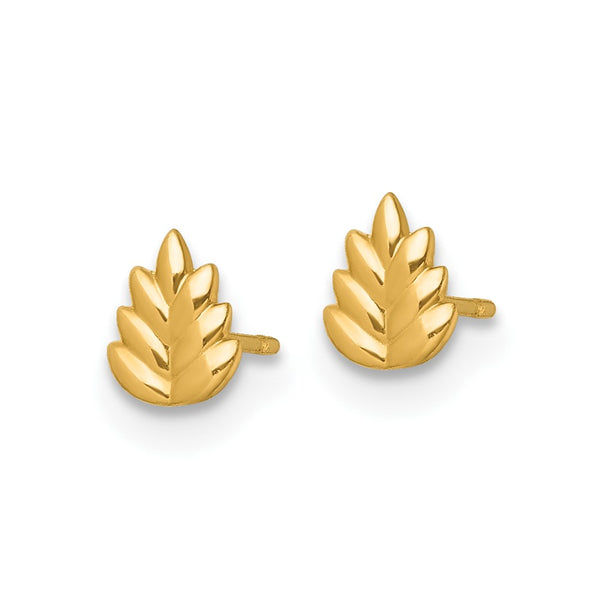 14K Gold Polished Leaf Stud Earrings